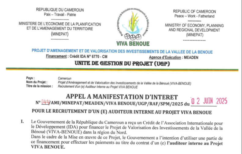 recruteur d'un auditeur interne